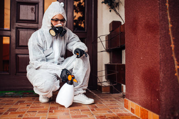 Reliable Fumigation Services contractor in Whitmire, SC by Nex Pest Control