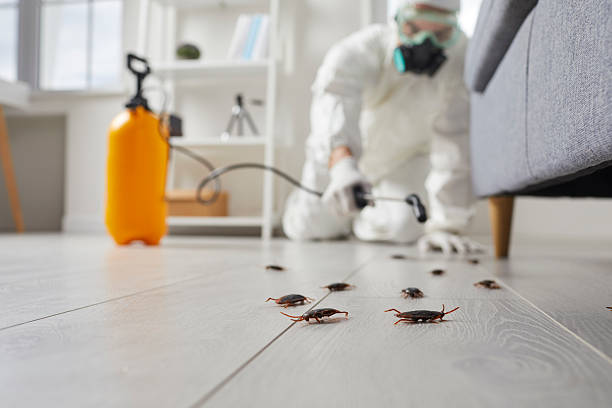 Trusted Fumigation Services service in Whitmire, SC - Nex Pest Control