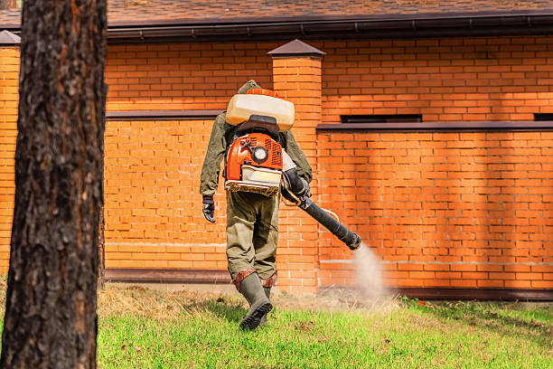 Trusted Termite Control service in Whitmire, SC - Nex Pest Control